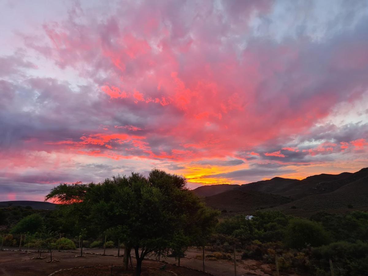 African Game Lodge Montagu Dış mekan fotoğraf