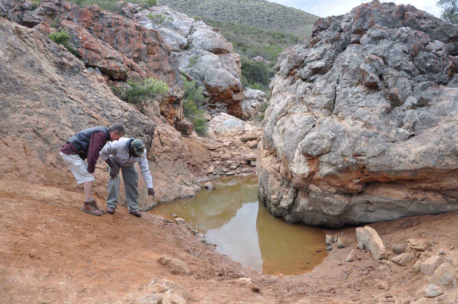 African Game Lodge Montagu Dış mekan fotoğraf