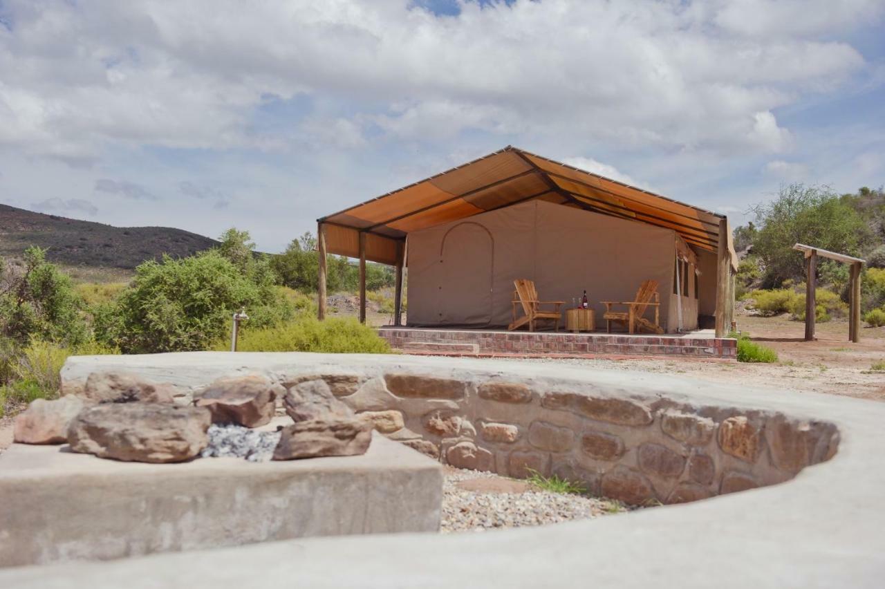 African Game Lodge Montagu Dış mekan fotoğraf